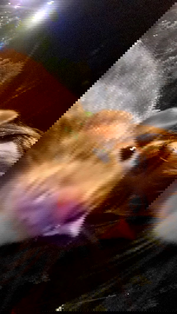 m1ry2m_ m1ry2m_ archive image