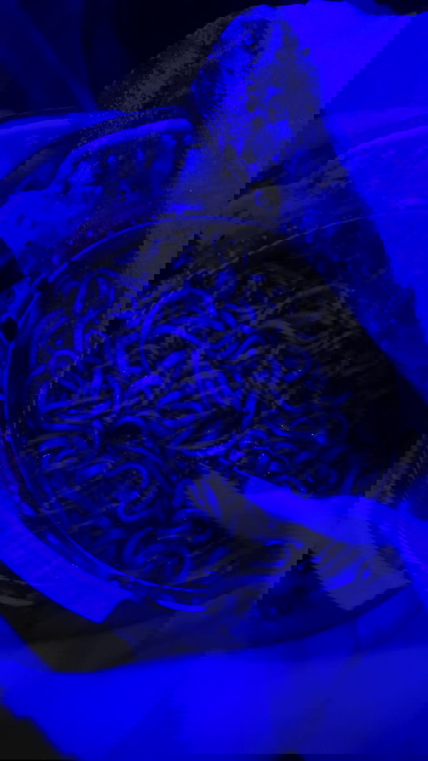 m1ry2m_ m1ry2m_ archive image