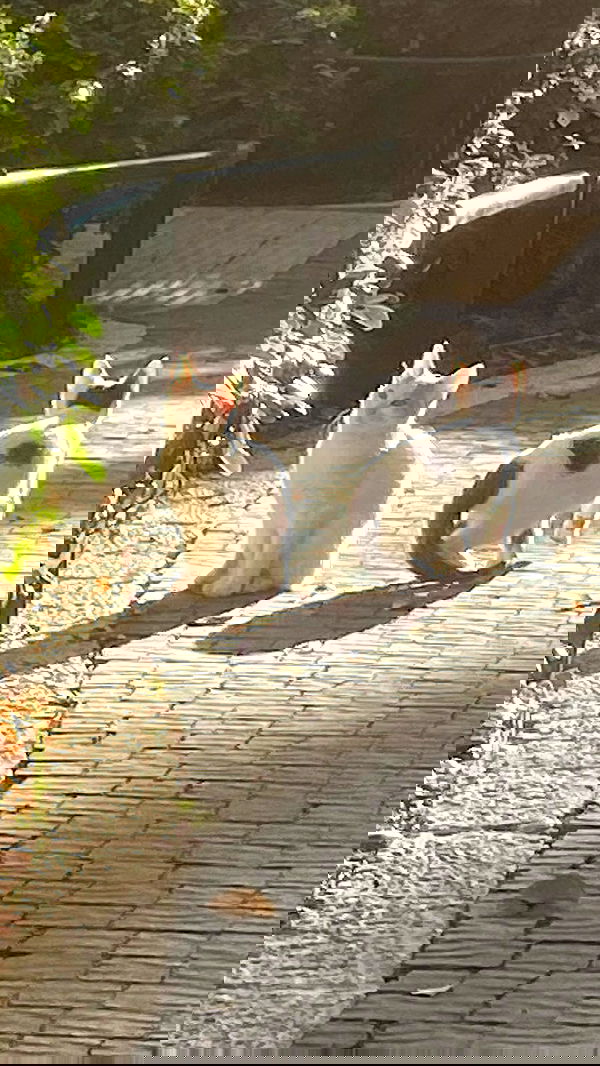 m1ry2m_ m1ry2m_ archive image