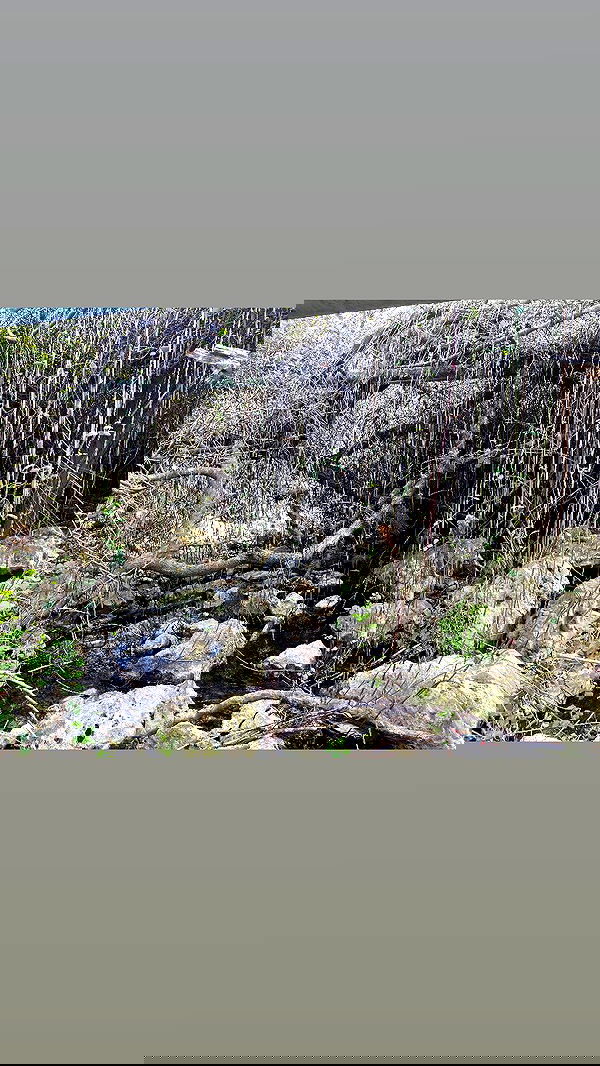 m1ry2m_ m1ry2m_ archive image