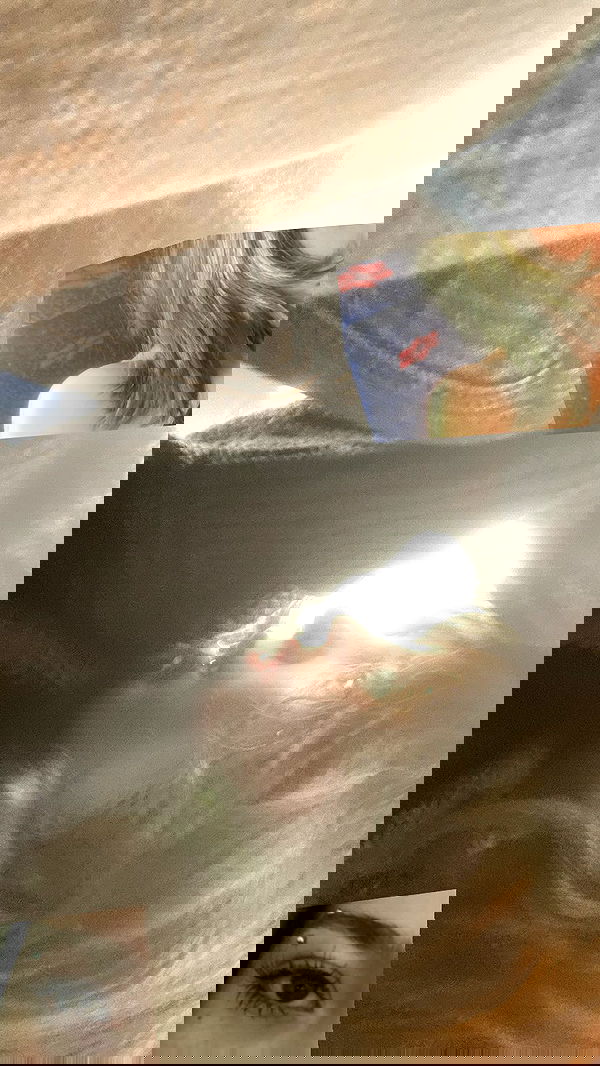 m1ry2m_ m1ry2m_ archive image