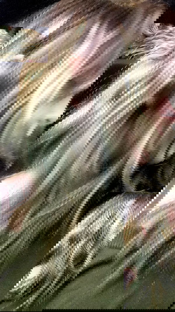 m1ry2m_ m1ry2m_ archive image