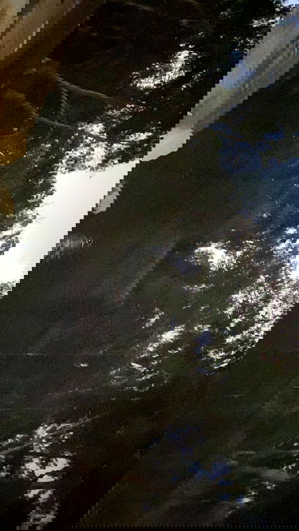 m1ry2m_ m1ry2m_ archive image