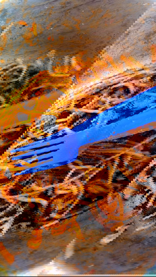 m1ry2m_ m1ry2m_ archive image