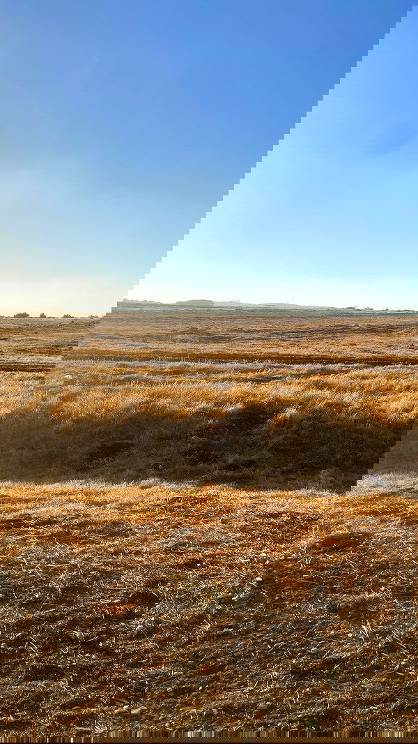 m1ry2m_ m1ry2m_ archive image