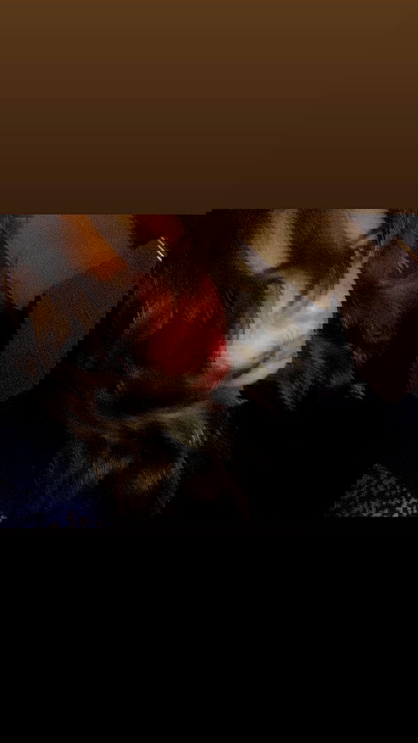 m1ry2m_ m1ry2m_ archive image