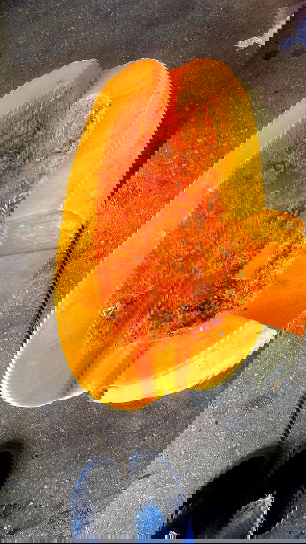 m1ry2m_ m1ry2m_ archive image