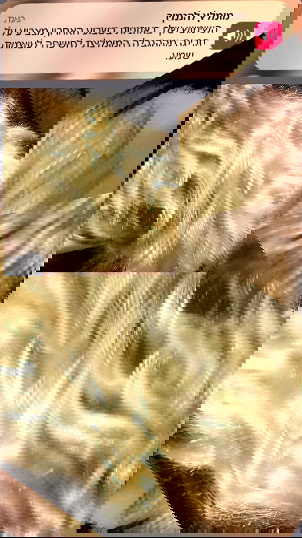 m1ry2m_ m1ry2m_ archive image