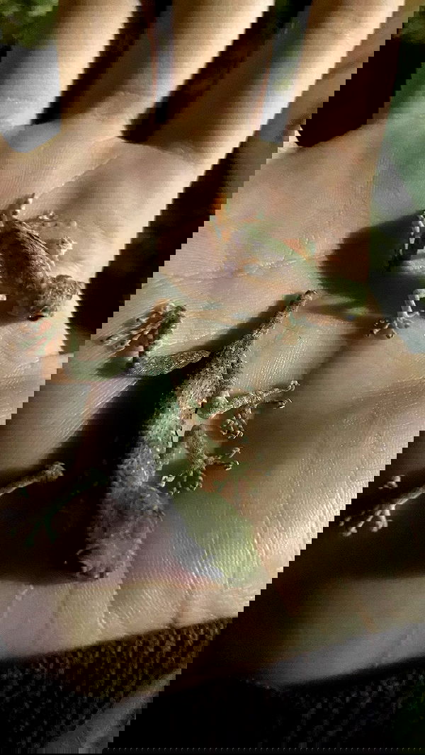 m1ry2m_ m1ry2m_ archive image