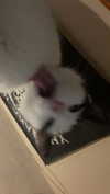 m3oww0_o Altpins Profile Picture
