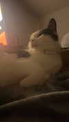 m3oww0_o Altpins Profile Picture