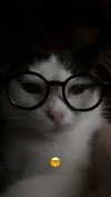 m3oww0_o Altpins Profile Picture