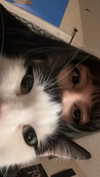 m3oww0_o Altpins Profile Picture