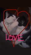m3oww0_o Altpins Profile Picture