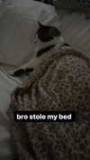 m3oww0_o Altpins Profile Picture
