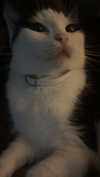 m3oww0_o Altpins Profile Picture
