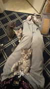 m3oww0_o Altpins Profile Picture