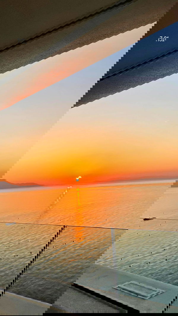 maayan.shaibi image ~ Altpins