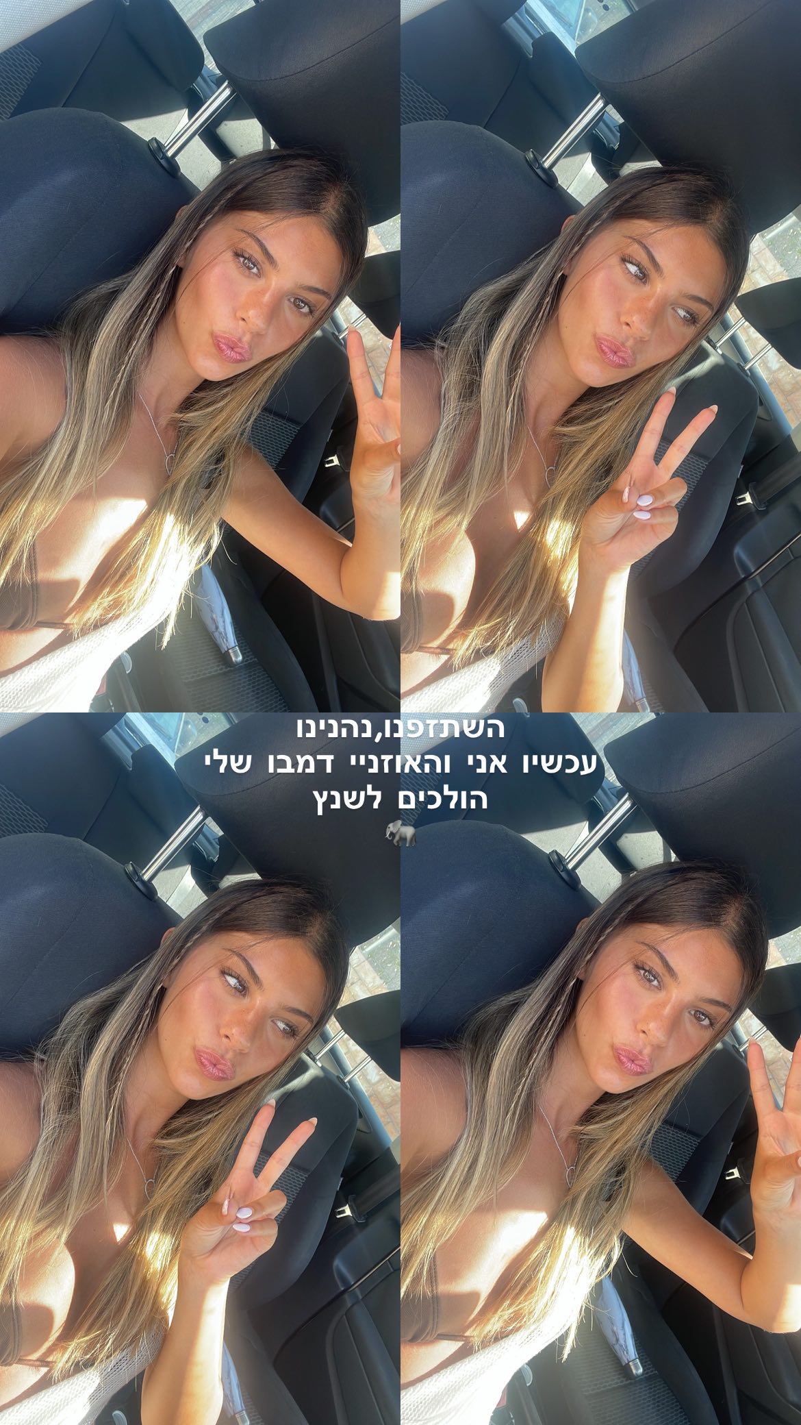 maayan.shaibi instagram image archive image