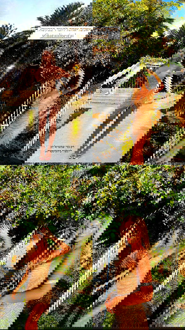 maayan.shaibi image ~ Altpins