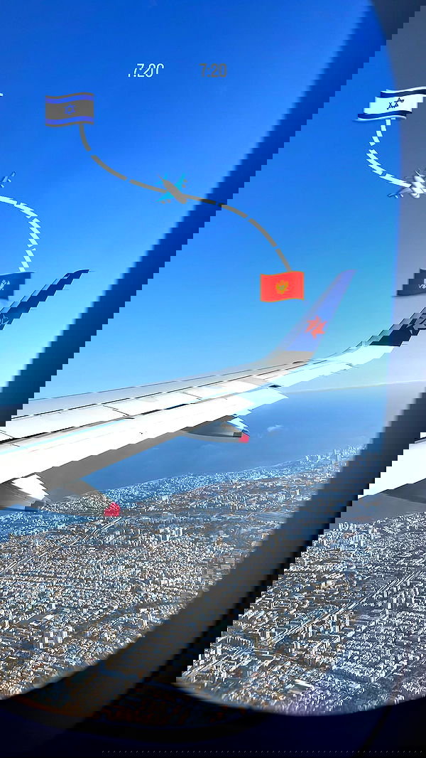 maayan.shaibi image ~ Altpins