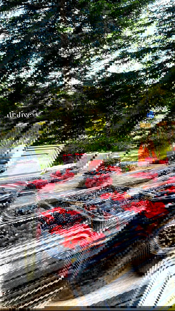 maayan.shaibi image ~ Altpins