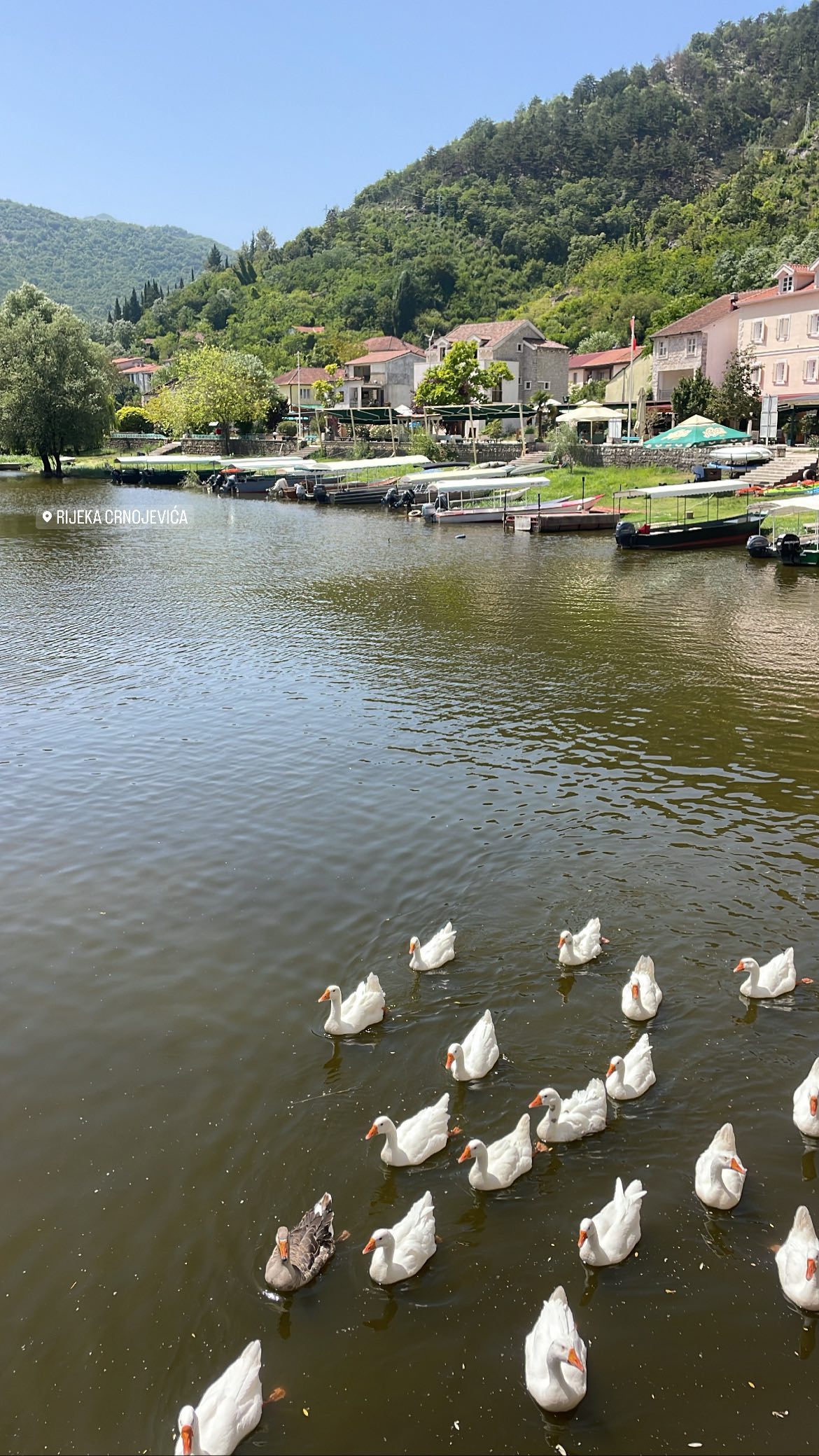 maayan.shaibi instagram image archive image