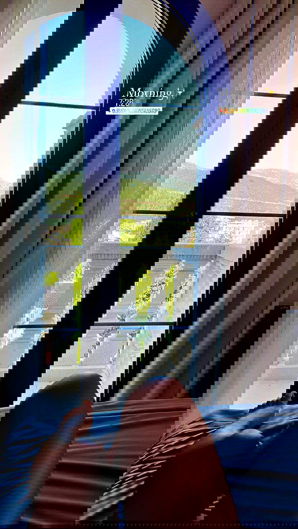 maayan.shaibi image ~ Altpins