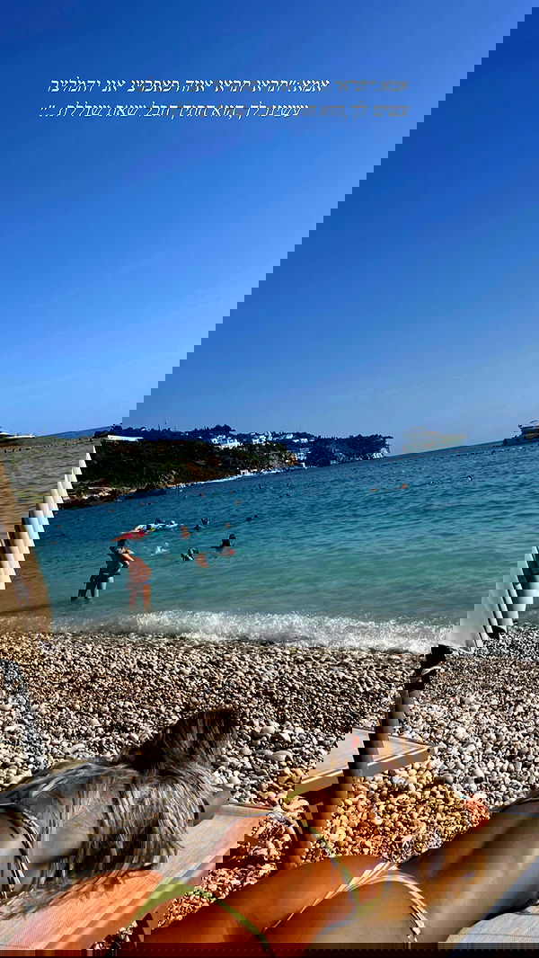 maayan.shaibi image ~ Altpins