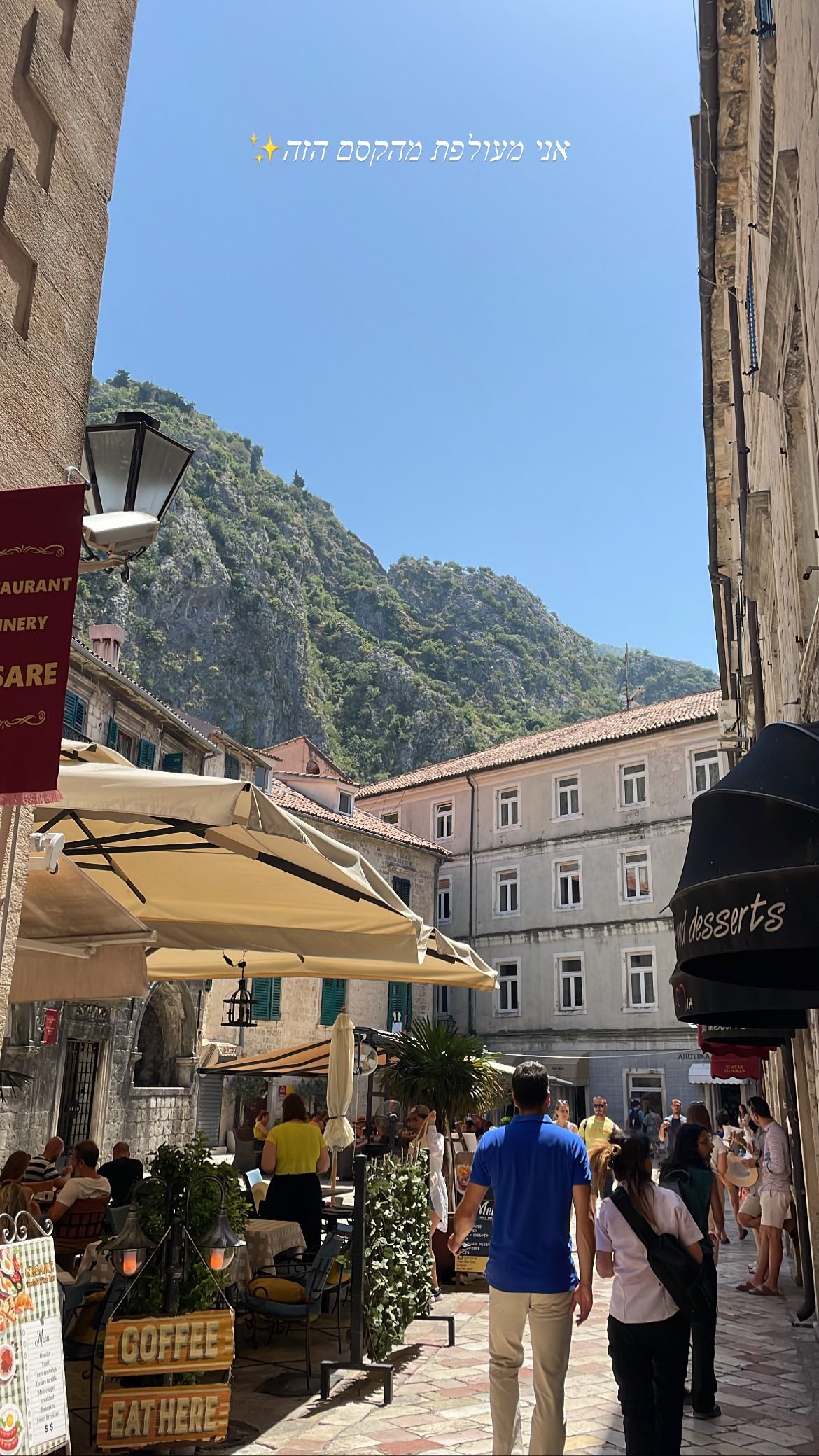 maayan.shaibi instagram image archive image