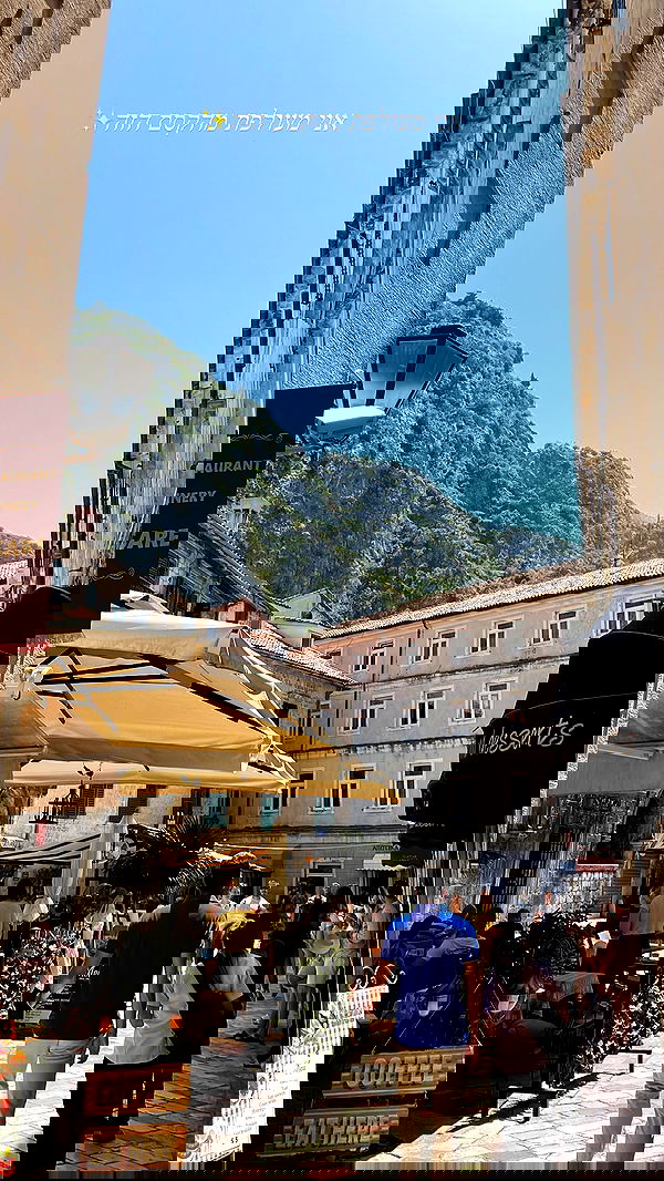 maayan.shaibi image ~ Altpins