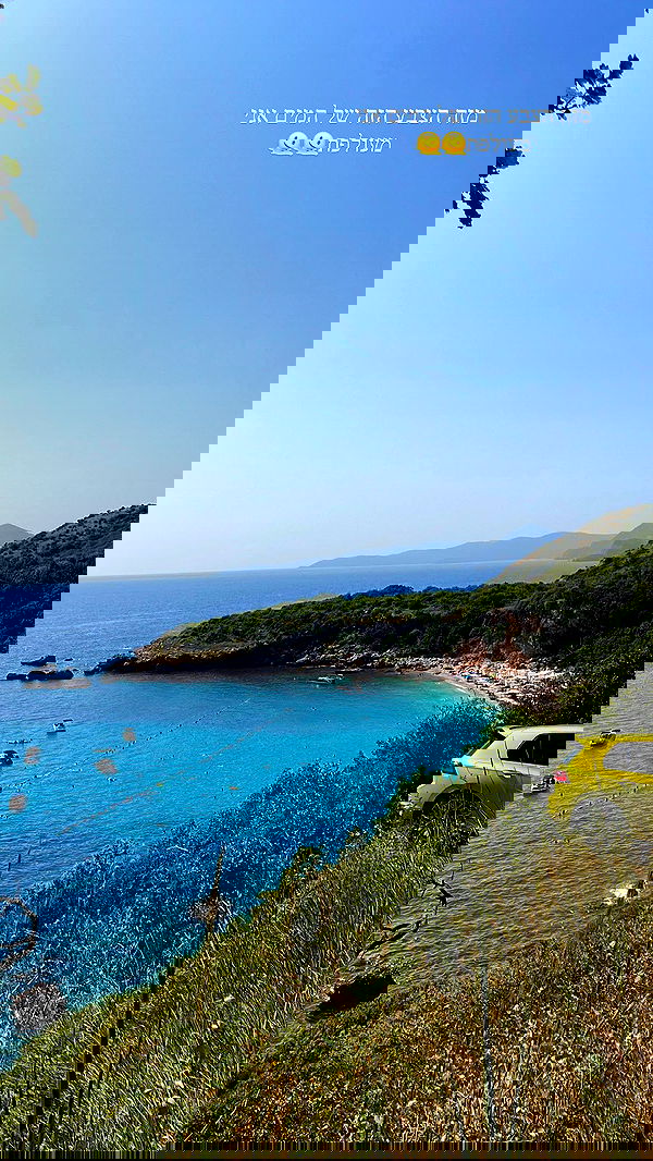 maayan.shaibi image ~ Altpins