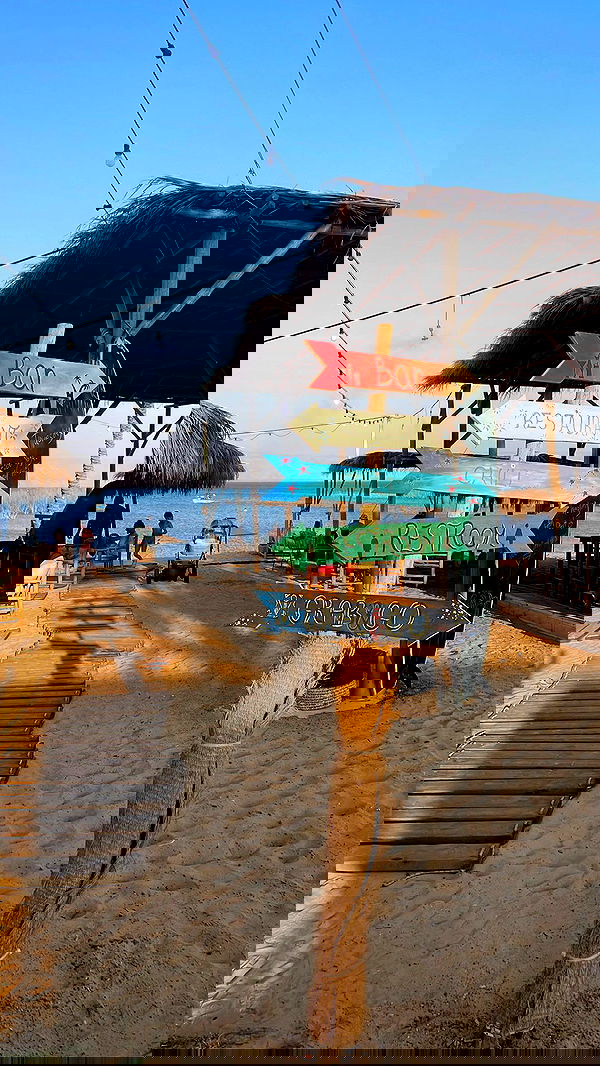 maayan.shaibi image ~ Altpins