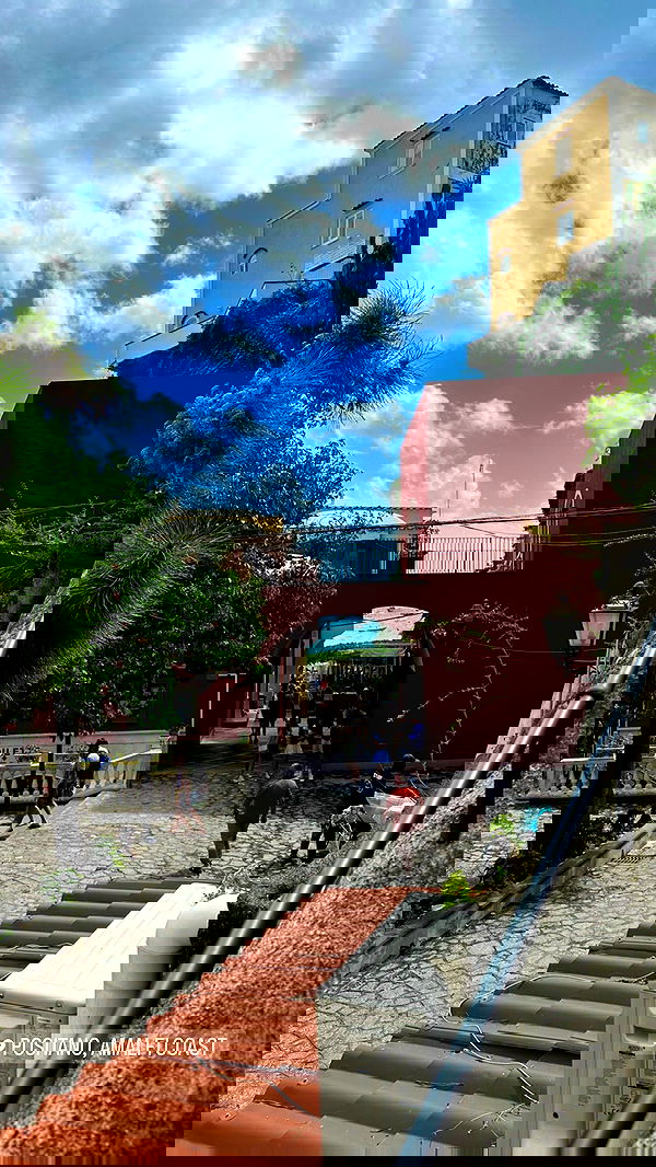 maayan.shaibi image ~ Altpins