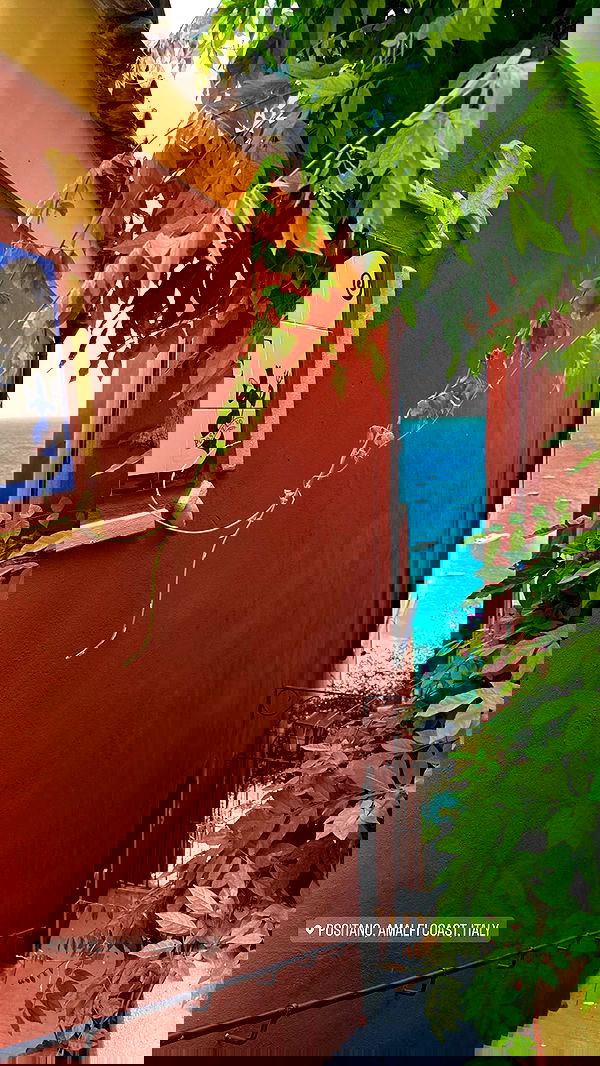 maayan.shaibi image ~ Altpins