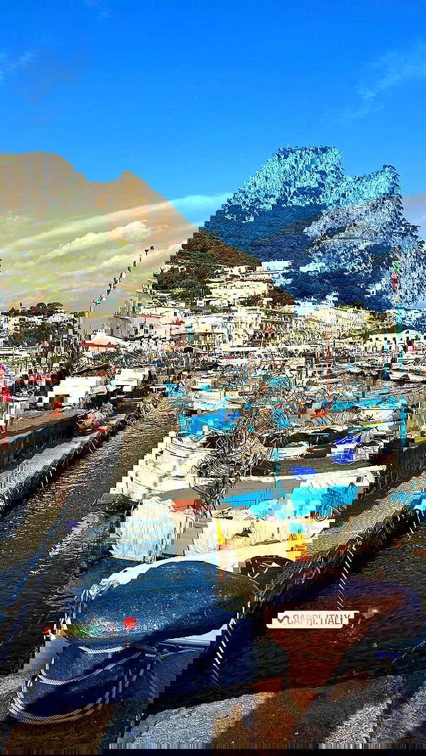 maayan.shaibi image ~ Altpins