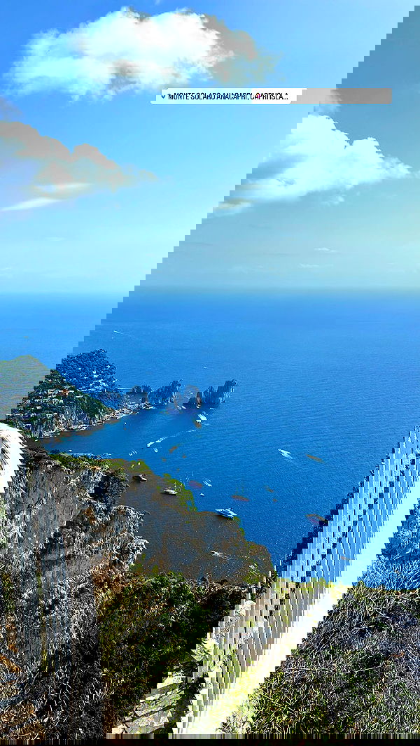 maayan.shaibi image ~ Altpins