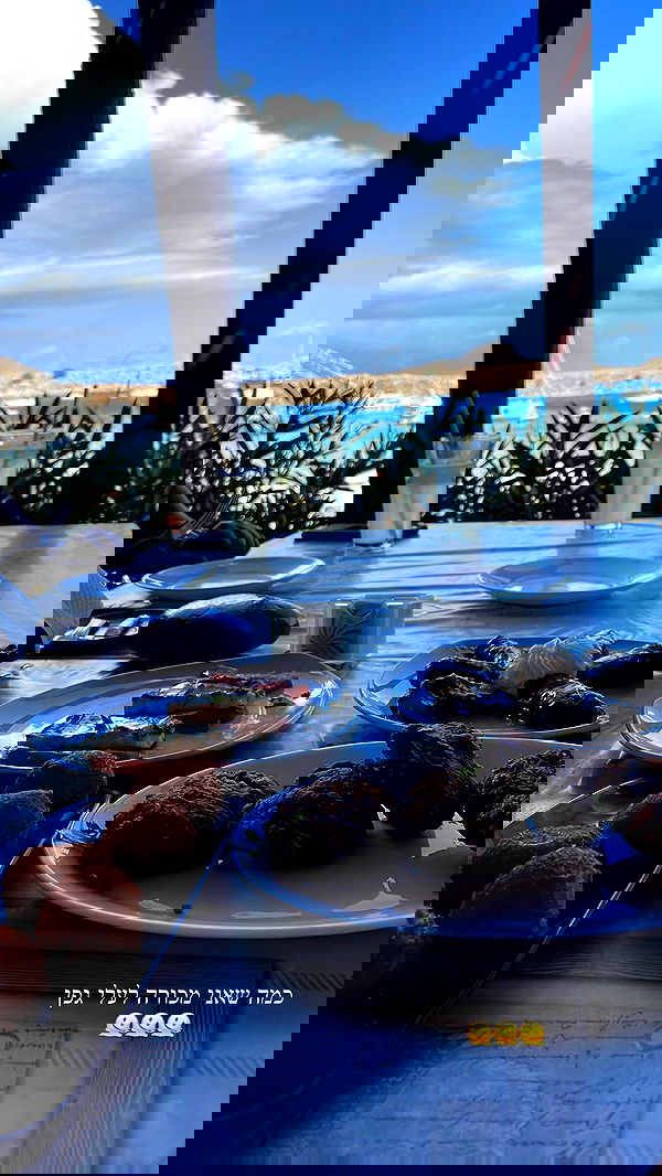 maayan.shaibi image ~ Altpins