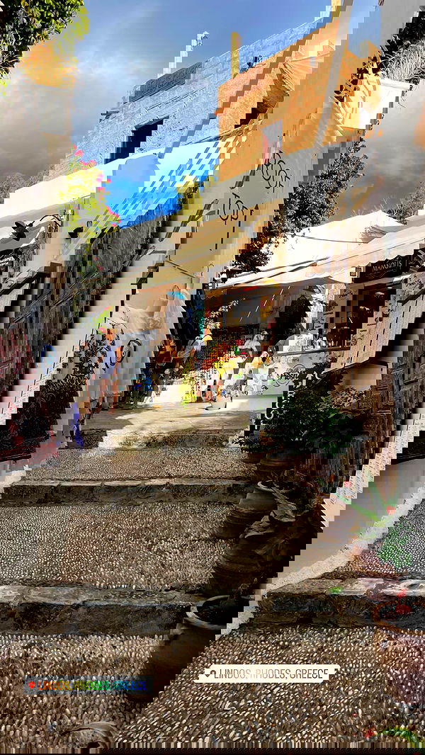 maayan.shaibi image ~ Altpins