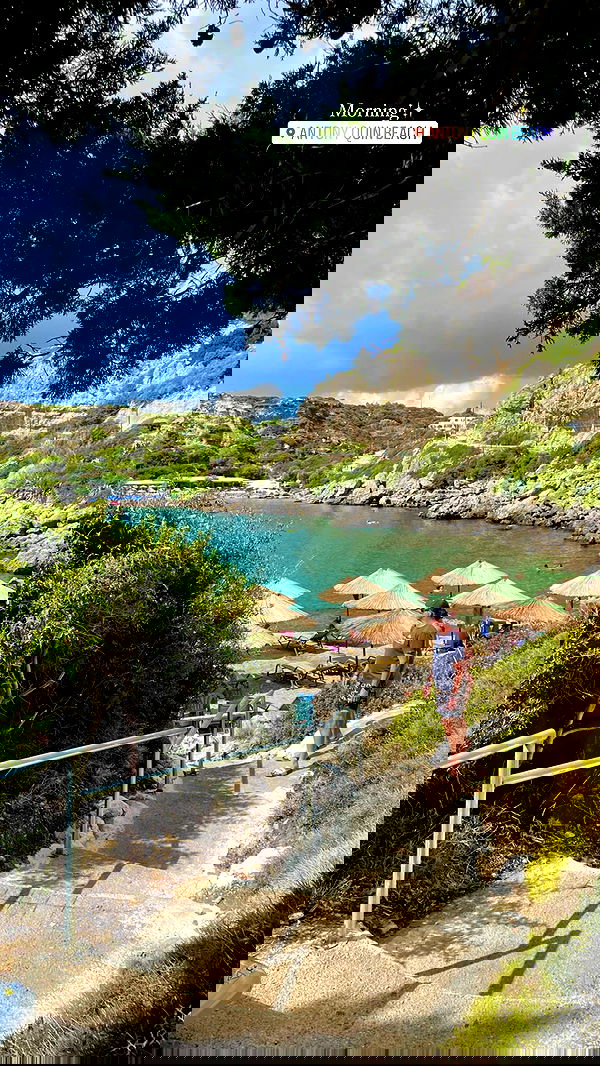 maayan.shaibi image ~ Altpins