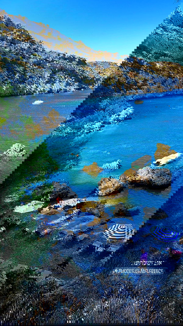 maayan.shaibi image ~ Altpins