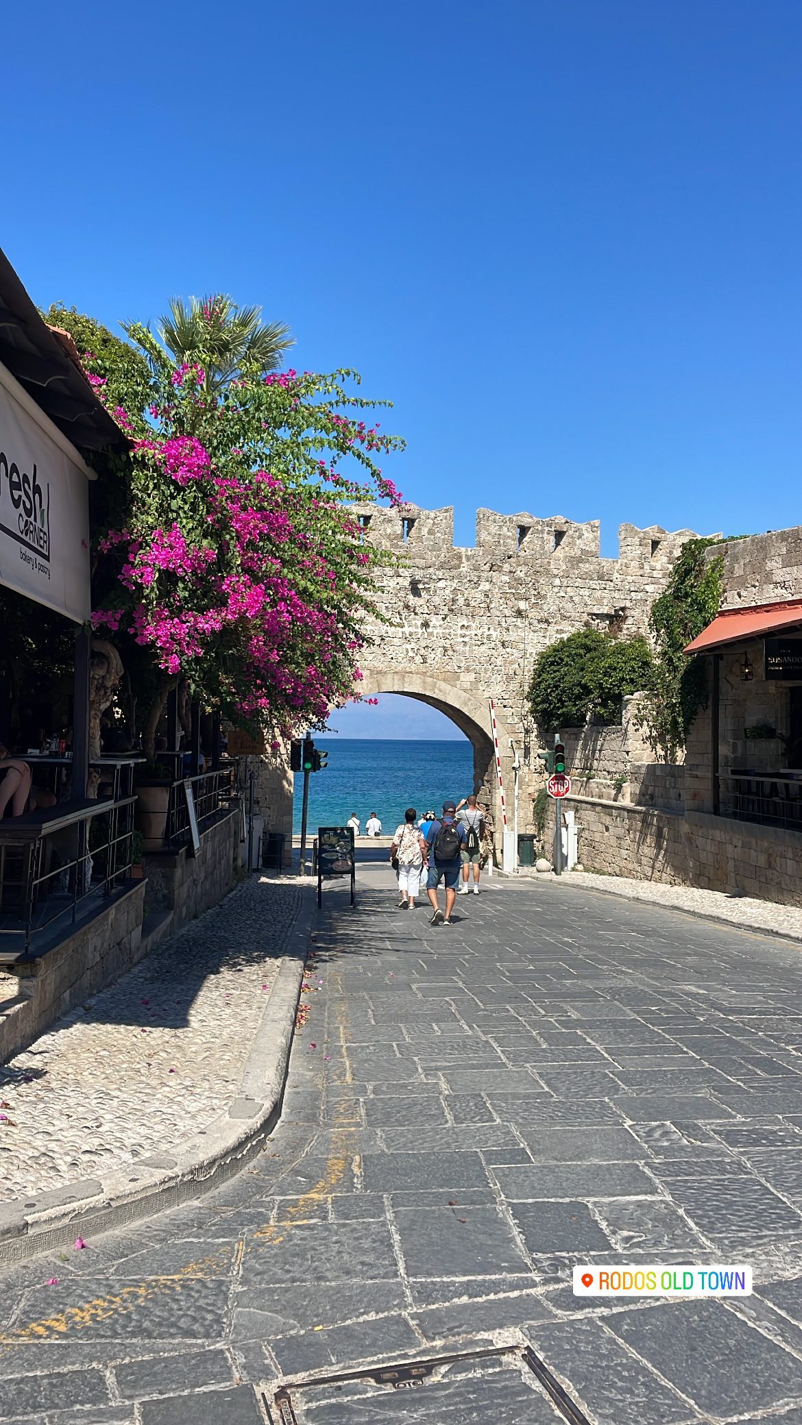 maayan.shaibi instagram image archive image