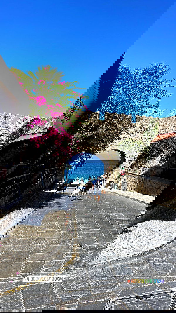 maayan.shaibi image ~ Altpins