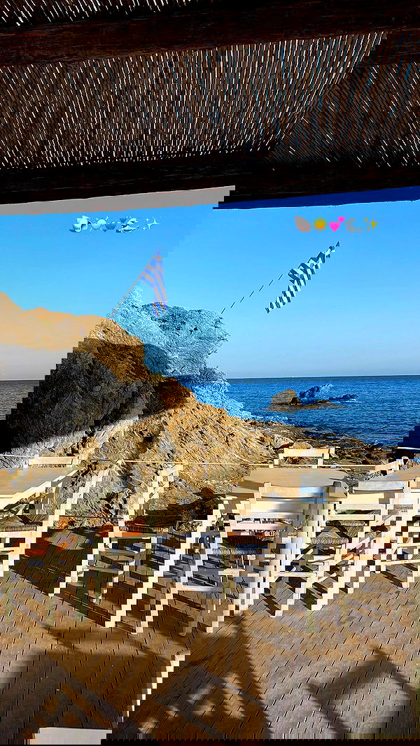 maayan.shaibi image ~ Altpins