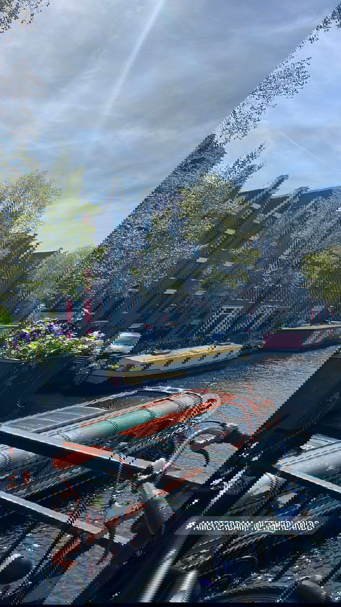 maayan.shaibi instagram image archive image