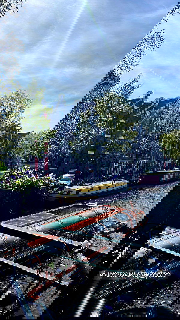 maayan.shaibi image ~ Altpins