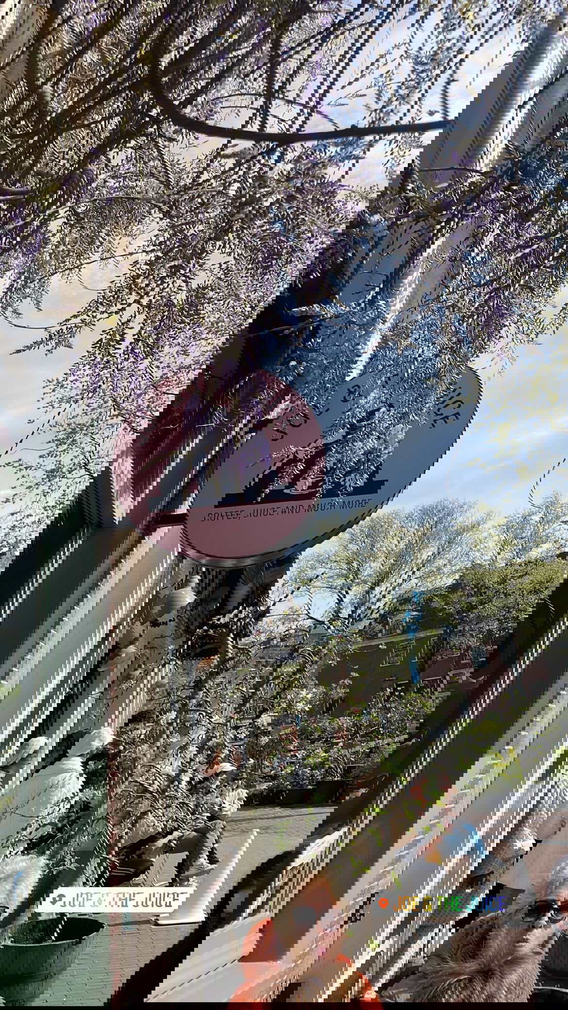 maayan.shaibi instagram image archive image