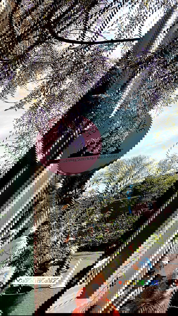 maayan.shaibi image ~ Altpins