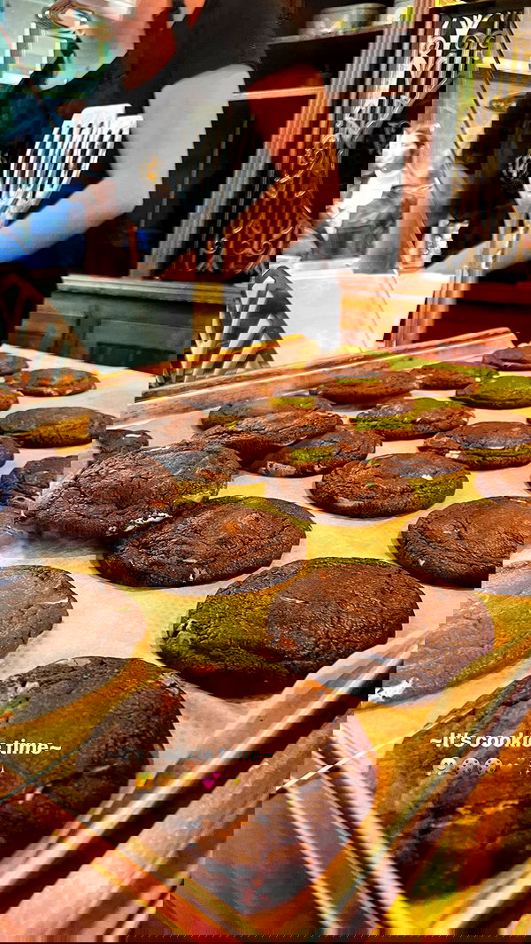 maayan.shaibi image ~ Altpins