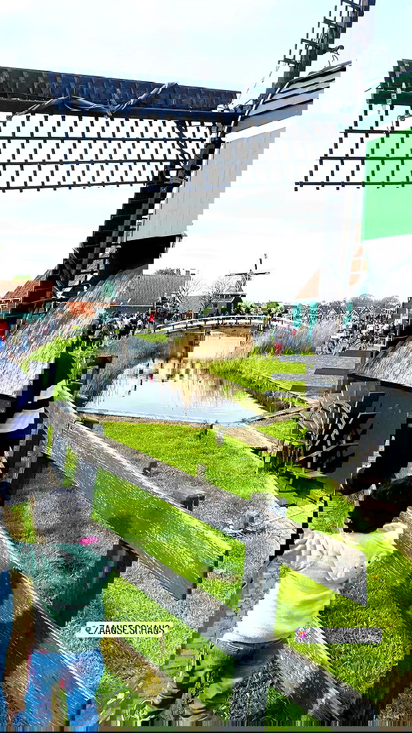 maayan.shaibi image ~ Altpins